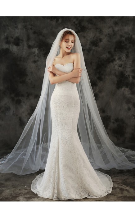 One-tier Lace Applique Edge Cathedral Bridal Veils With Lace