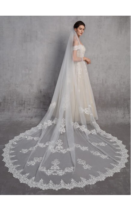 One-tier Lace Applique Edge Cathedral Bridal Veils With Lace