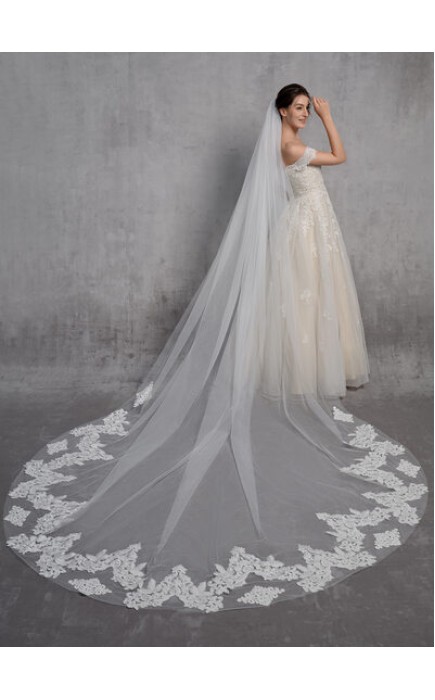 One-tier Lace Applique Edge Cathedral Bridal Veils With Lace